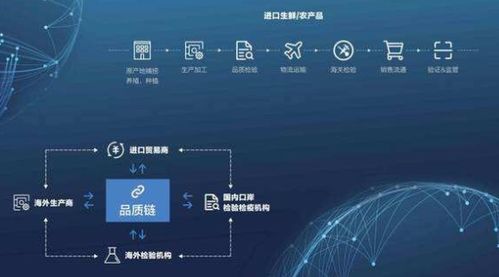 区块链防伪溯源系统软件设计开发解决方案